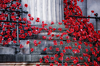 Poppies on Tour at St Georges Hall in Liverpool 2015
